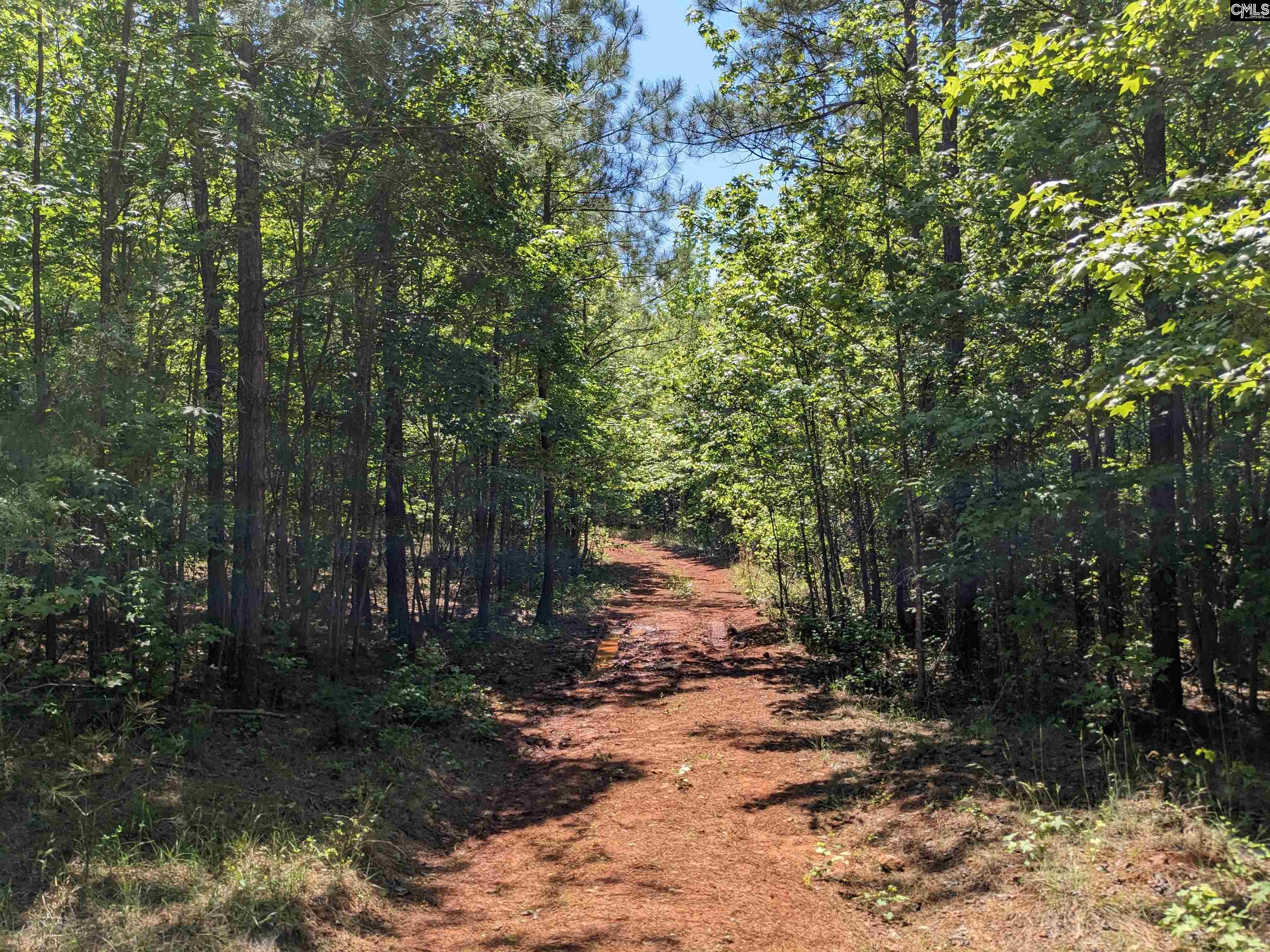 Jewel Drive Ridgeway, SC 29130 - Photo 14 of 20