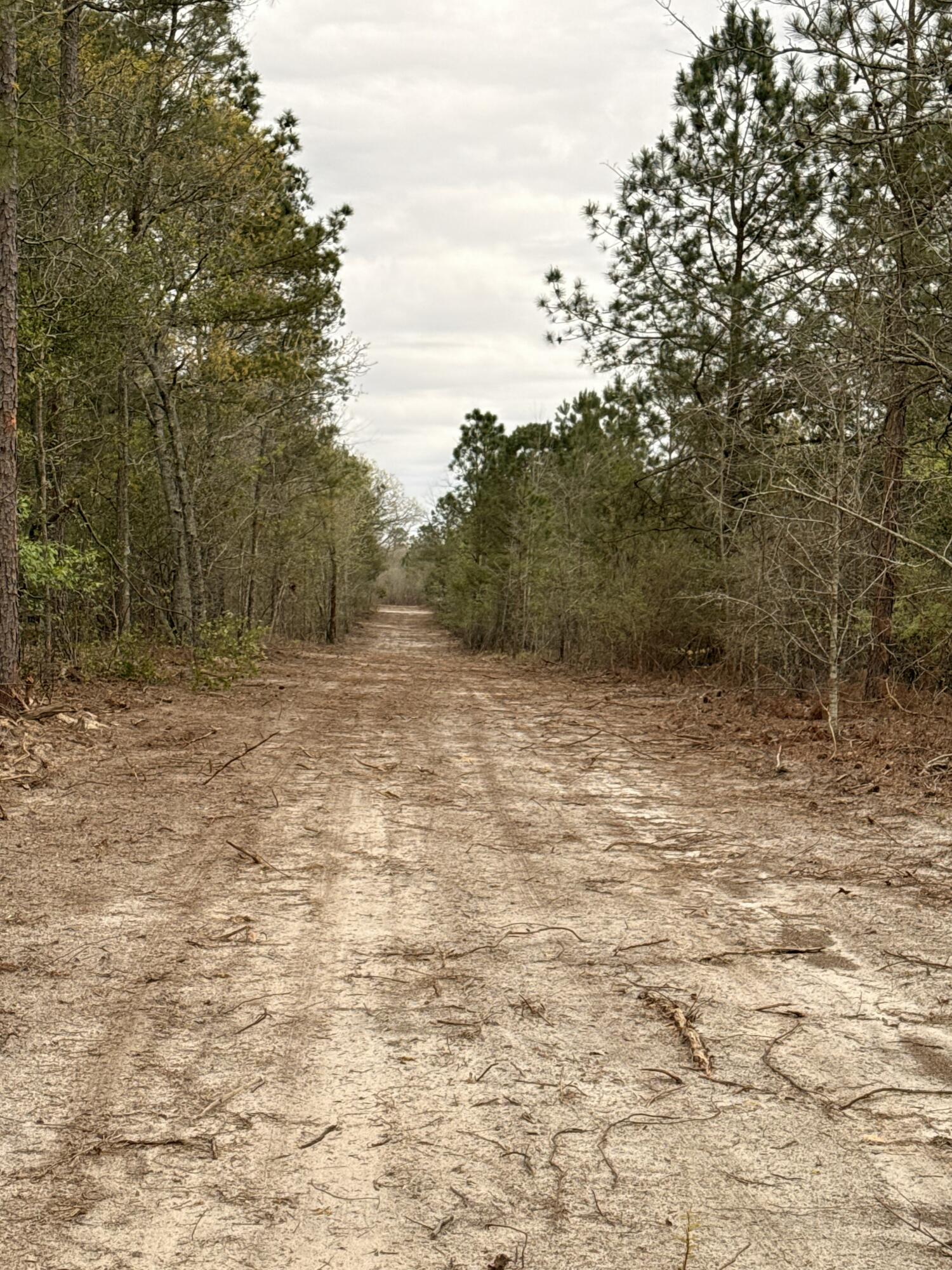 Lot 6 Acre State Park Road Windsor, SC 29856 - Photo 8 of 8
