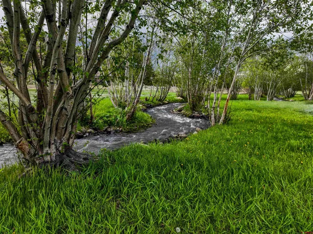 a view of a backyard with large trees
