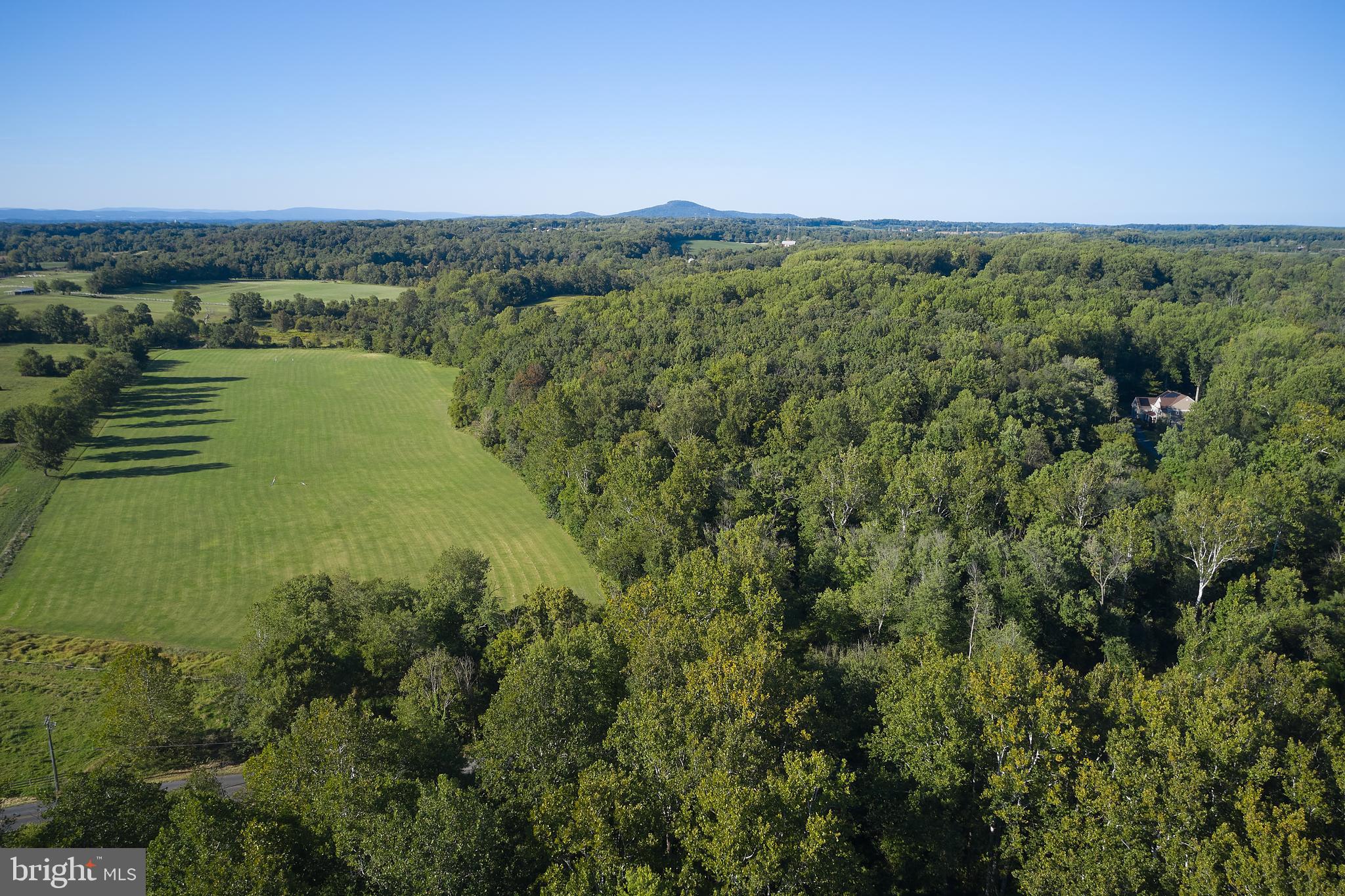 18006 Bliss Drive Poolesville, MD 20837 - Photo 49 of 62