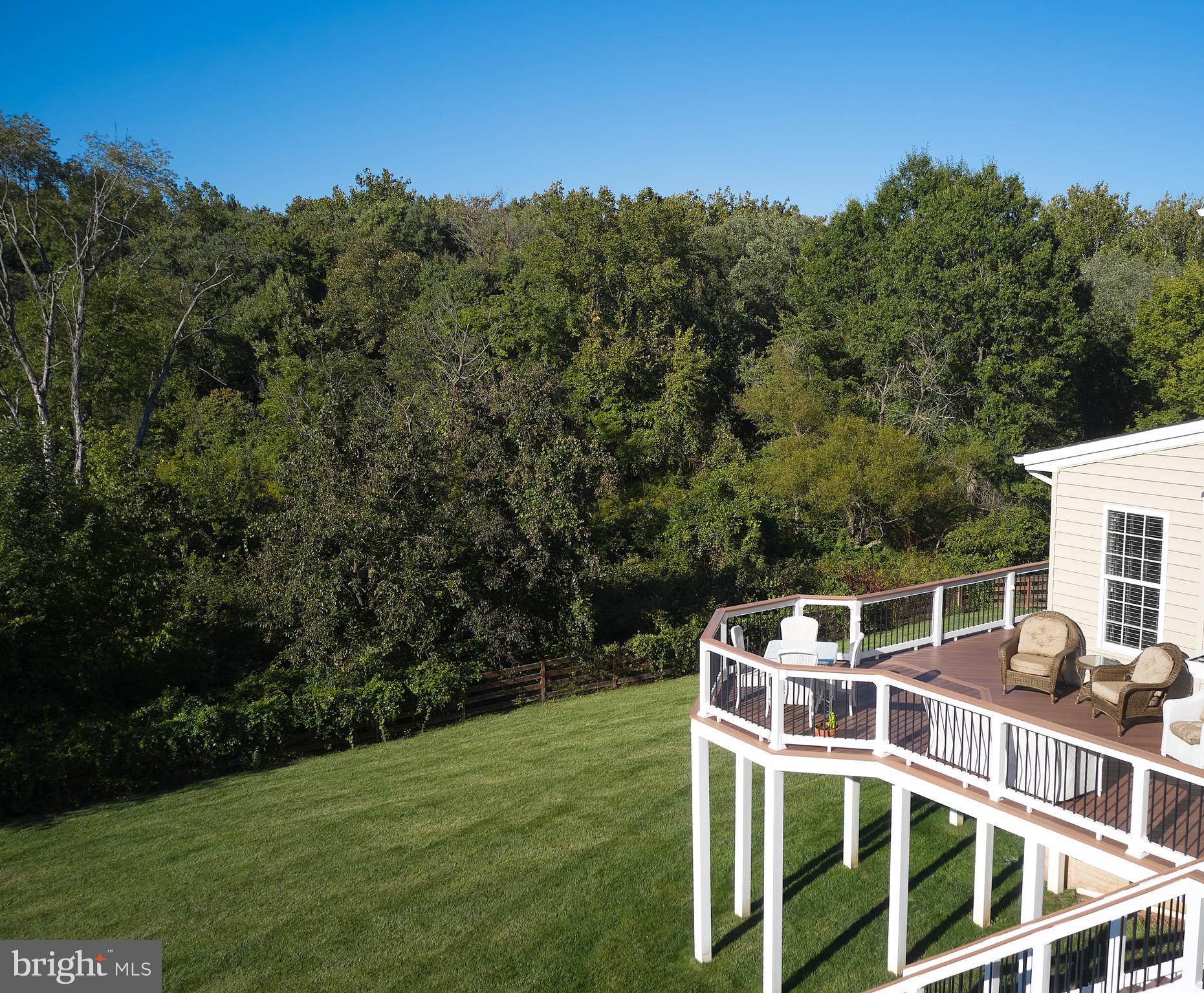 18006 Bliss Drive Poolesville, MD 20837 - Photo 54 of 62