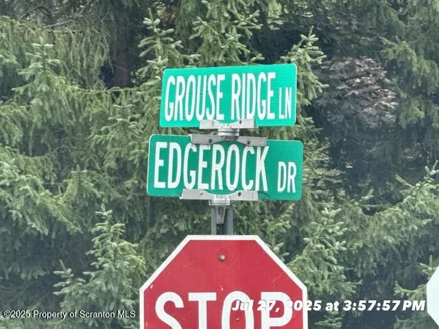 a view of a back yard