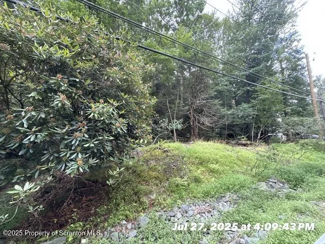 a big yard with lots of green space