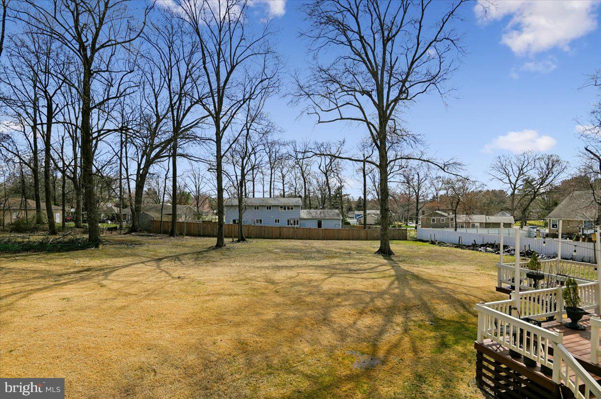 705 Marshall Manor Drive Silver Spring, MD 20905 - Photo 48 of 54 a view of yard with trees