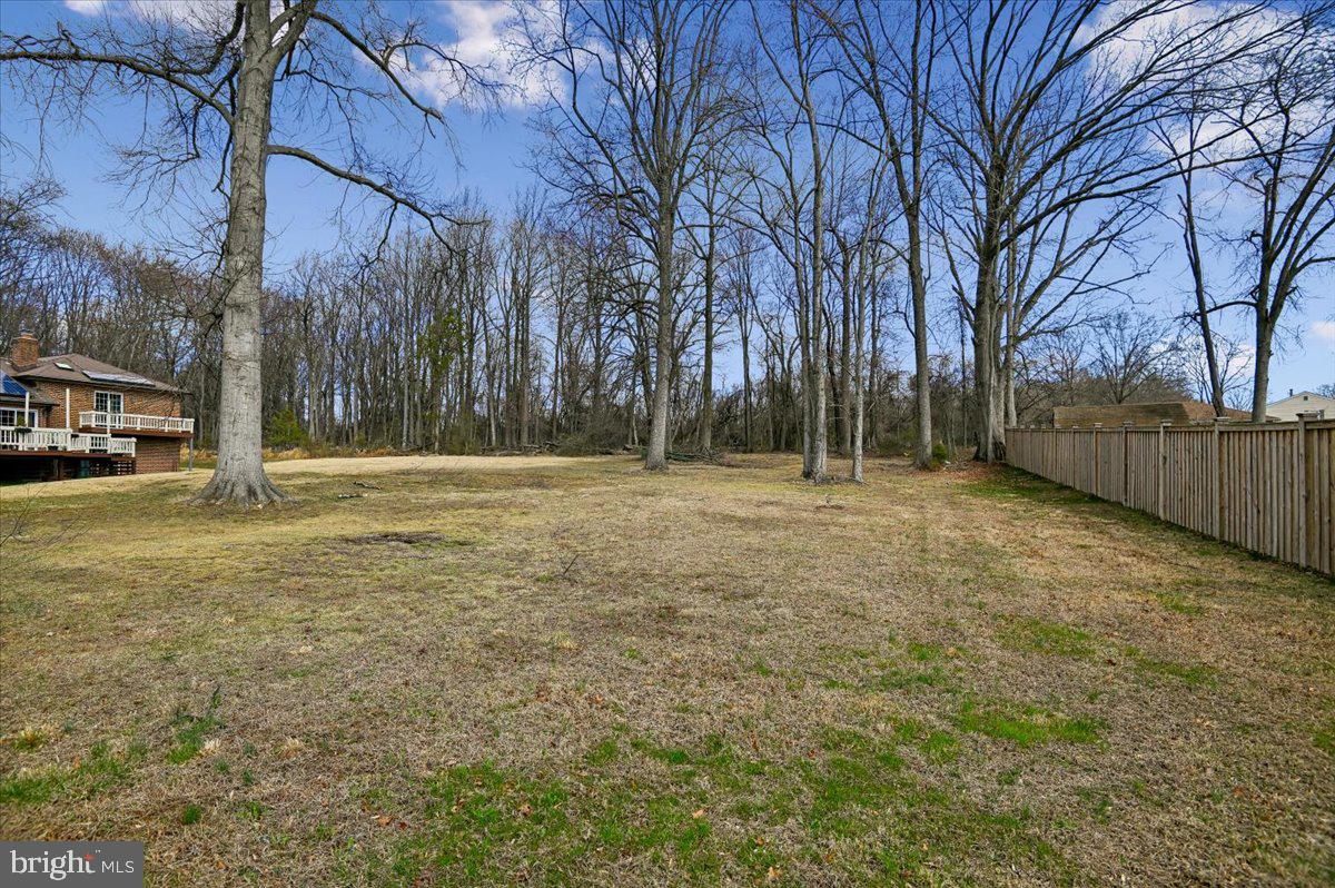705 Marshall Manor Drive Silver Spring, MD 20905 - Photo 49 of 54 a backyard of a house with lots of green space