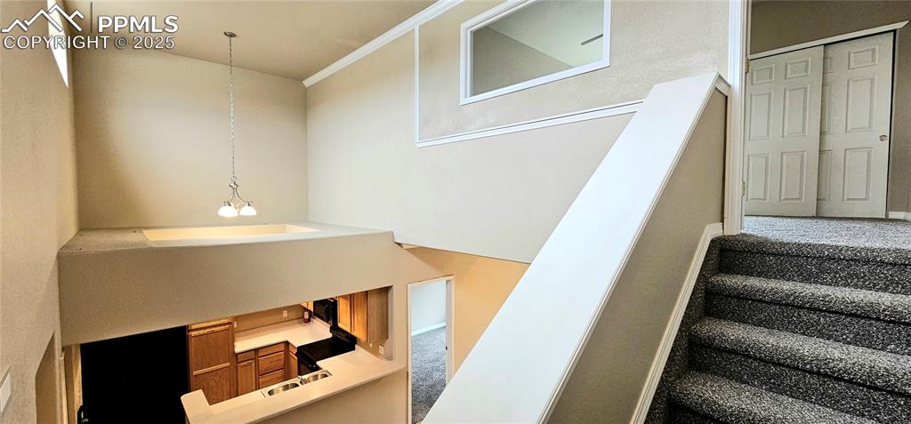 6967 Stetson Ranch Point, Unit 204 Colorado Springs, CO 80922 - Photo 19 of 19 a view of entryway with wooden floor