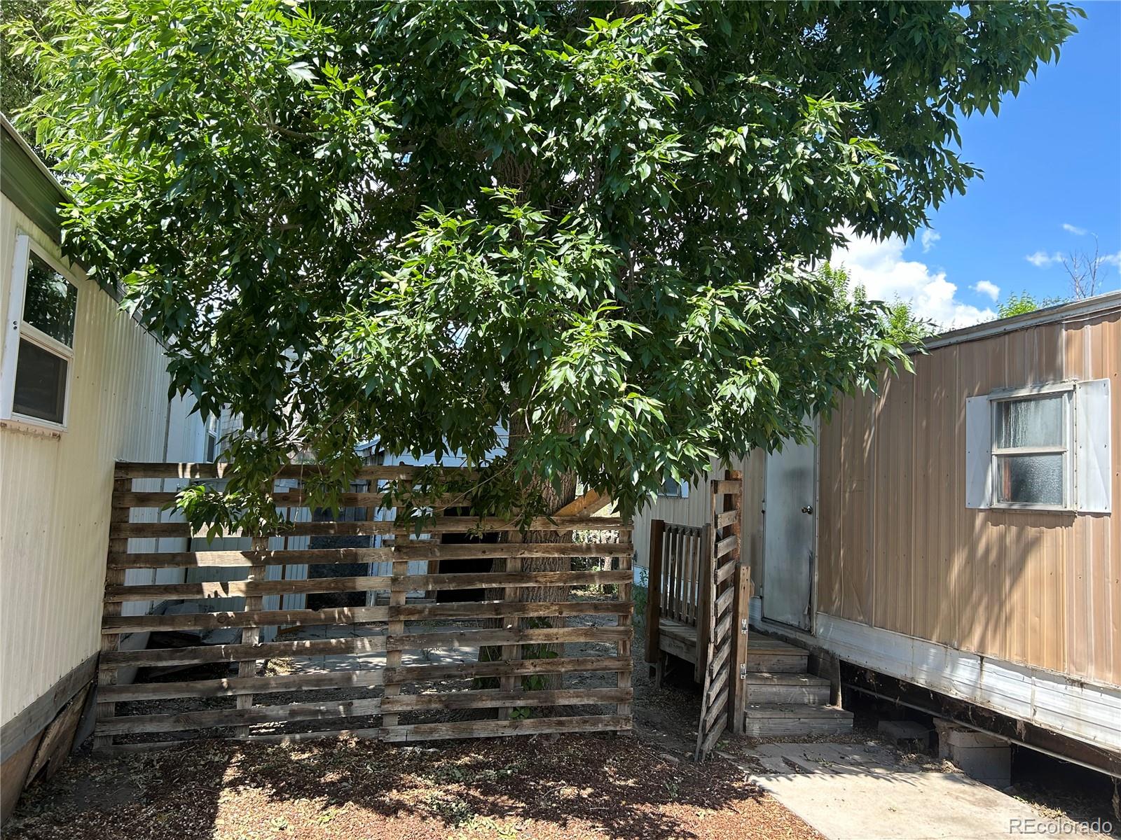 226 Scott Street Salida, CO 81201 - Photo 5 of 15 a view of a house with a tree