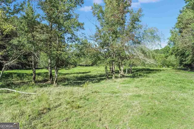 $1,250,000 | 1340 441 Express Way Mount, Mount Airy, GA 30563