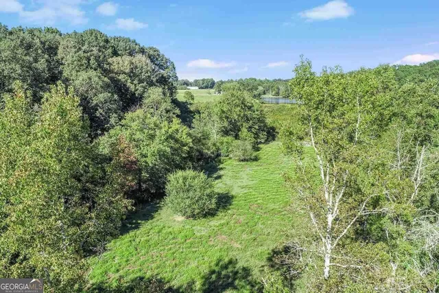 $1,250,000 | 1340 441 Express Way Mount, Mount Airy, GA 30563