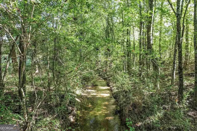 $1,250,000 | 1340 441 Express Way Mount, Mount Airy, GA 30563