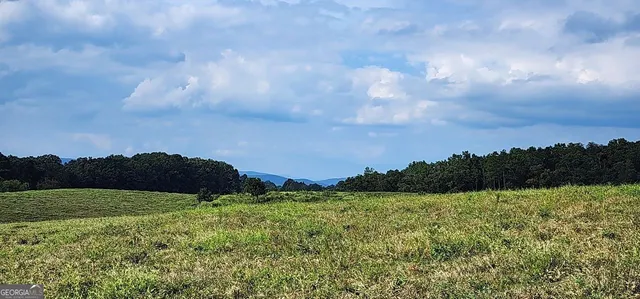 $1,250,000 | 1340 441 Express Way Mount, Mount Airy, GA 30563