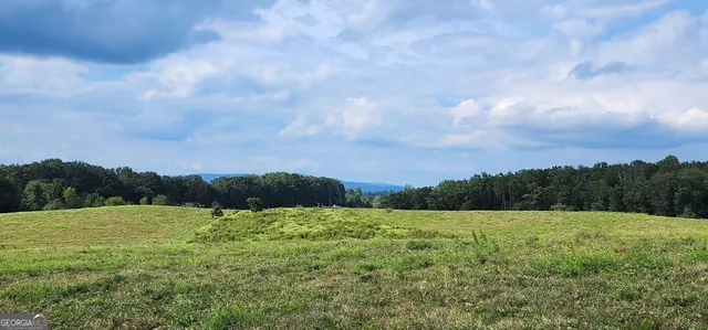 $1,250,000 | 1340 441 Express Way Mount, Mount Airy, GA 30563