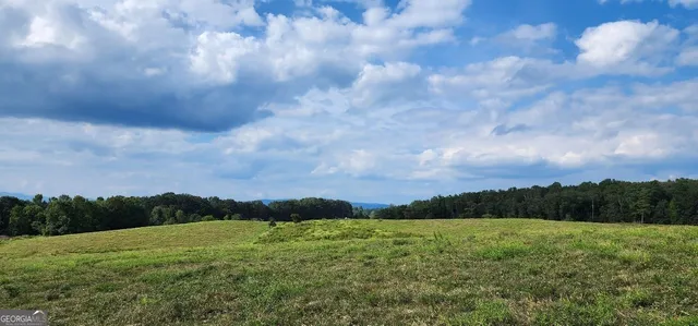 $1,250,000 | 1340 441 Express Way Mount, Mount Airy, GA 30563