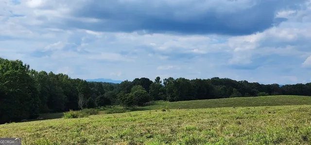 $1,250,000 | 1340 441 Express Way Mount, Mount Airy, GA 30563