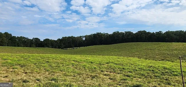 $1,250,000 | 1340 441 Express Way Mount, Mount Airy, GA 30563