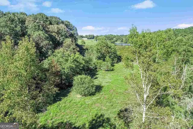 $1,250,000 | 1340 441 Express Way Mount, Mount Airy, GA 30563