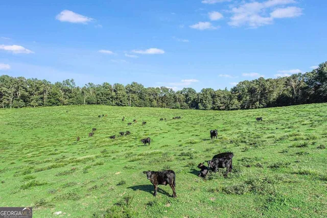 $1,250,000 | 1340 441 Express Way Mount, Mount Airy, GA 30563