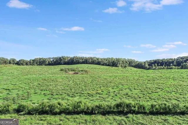 $1,250,000 | 1340 441 Express Way Mount, Mount Airy, GA 30563