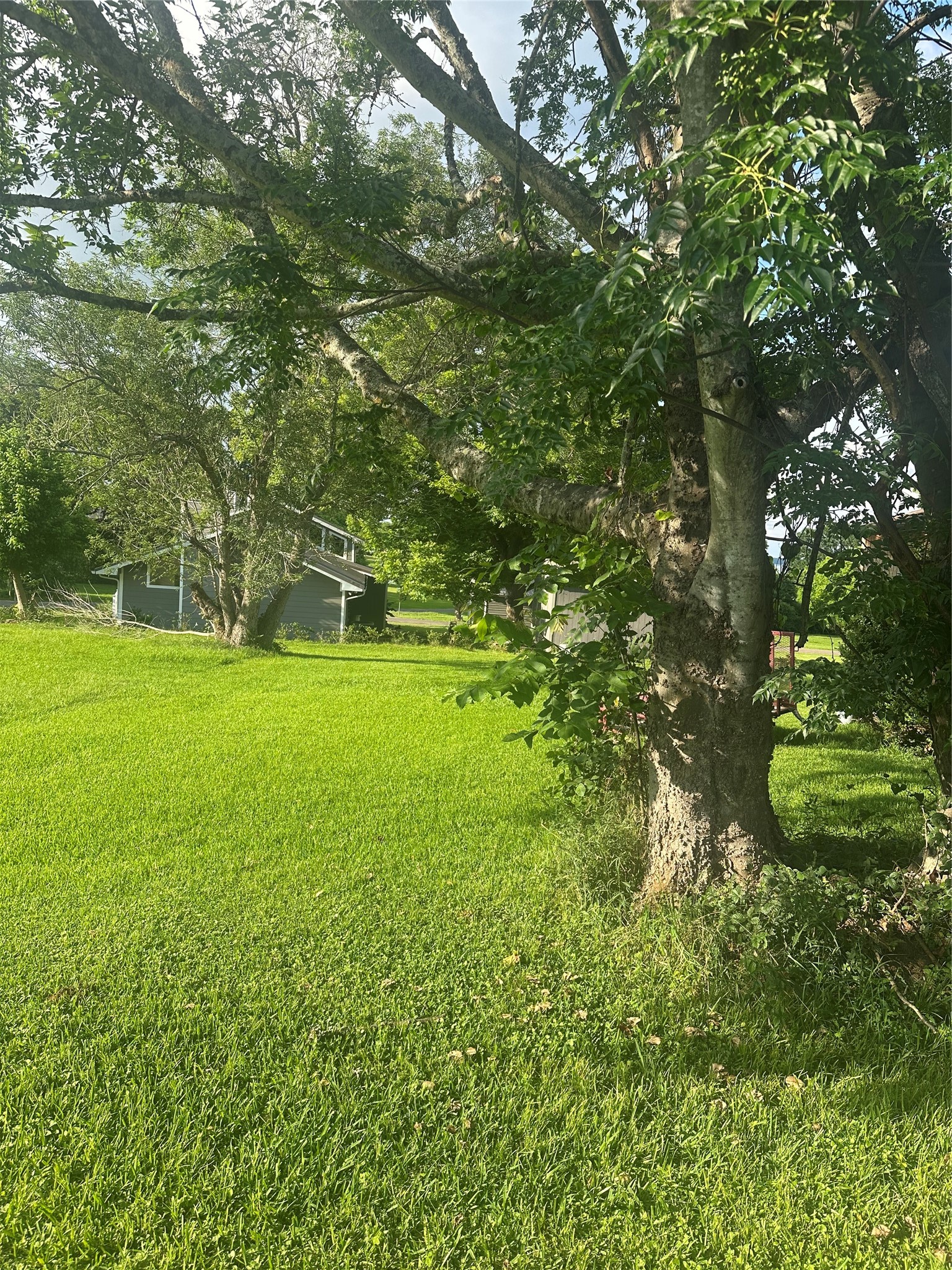Tbd Tbd Terrace Dr Point Point Blank, TX 77364 - Photo 3 of 5
