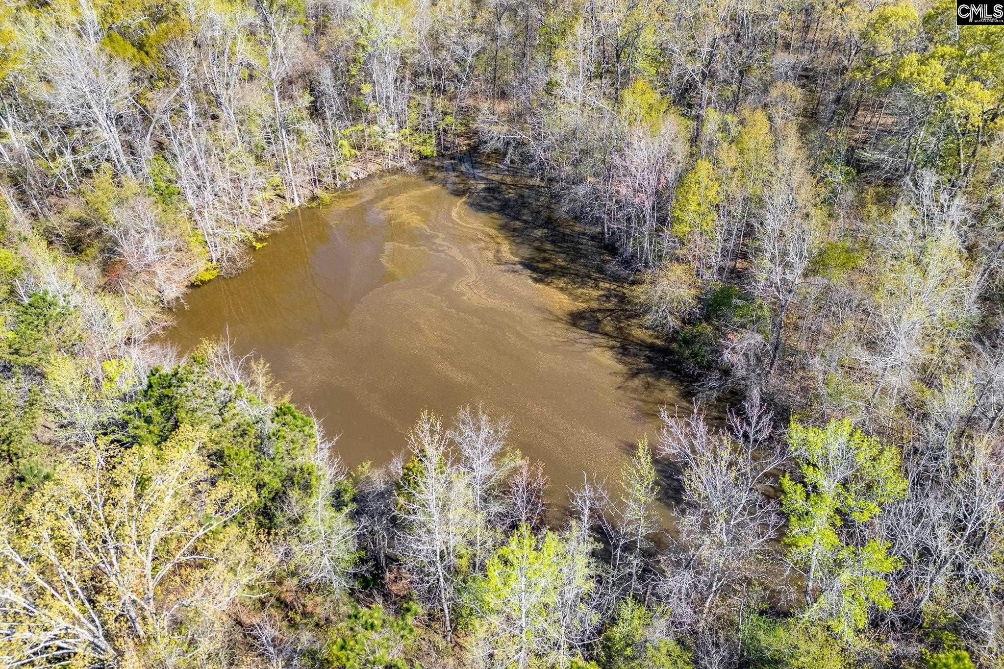3941 Holley Ferry Road Leesville, SC 29070 - Photo 10 of 14