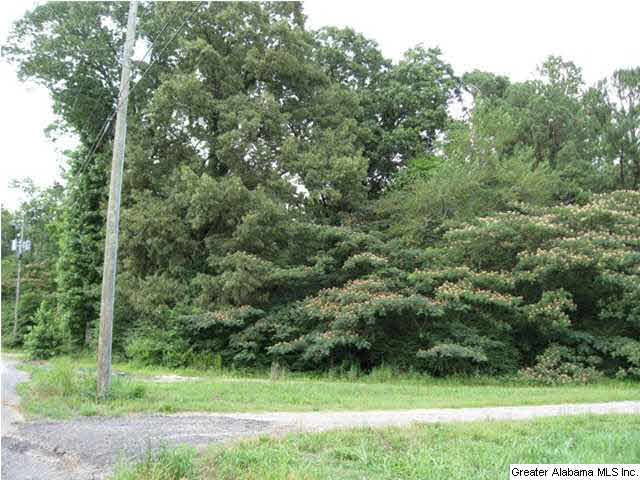 3661 Vann Road Trussville, AL 35173 - Photo 2 of 2