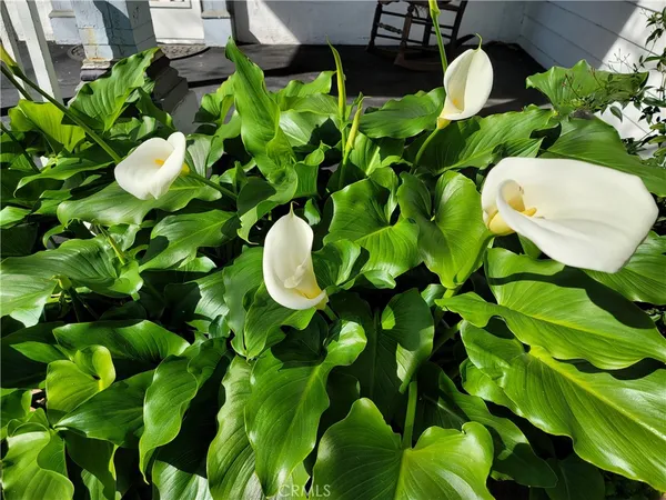 $449,000 | 1313 Jackson Street, Red Bluff, CA 96080