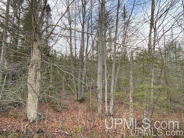 5994 Linden Road Manistique, MI 49854 - Photo 9 of 13 Gallery Image 9