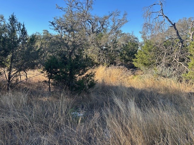 1338 Sultemeier-Moellering Road Fredericksburg, TX 78624 - Photo 12 of 12