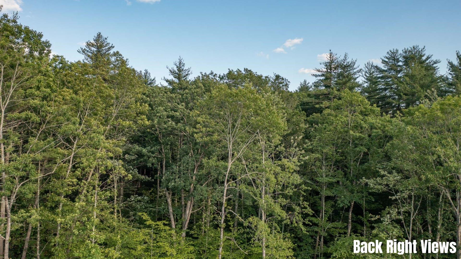 32 Willey Creek Road, Unit 107 Exeter, NH 03833 - Photo 4 of 35