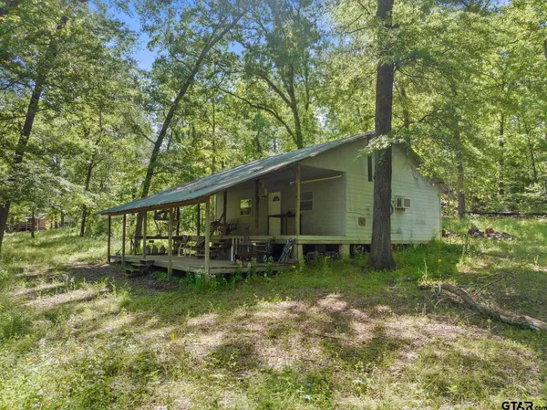 a backyard of a house with lawn chairs plants and large tree