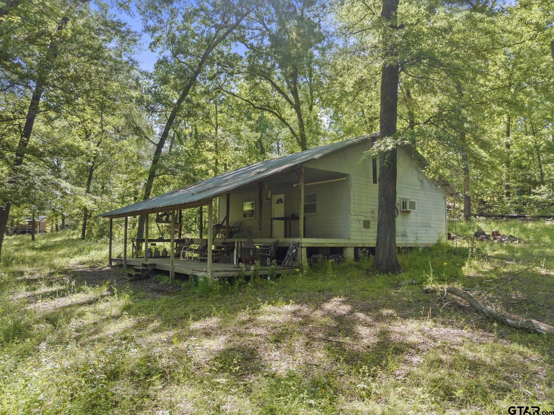 a backyard of a house with lawn chairs plants and large tree