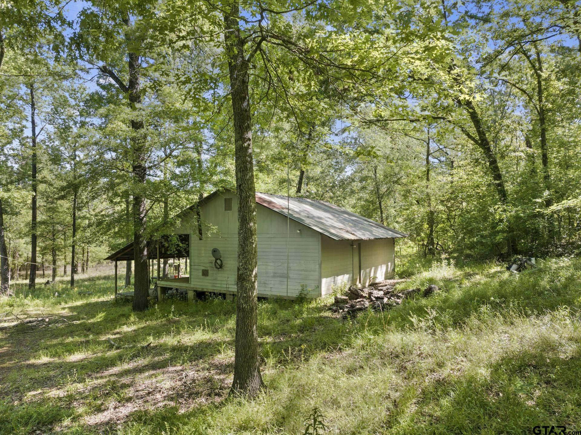 307 Fish Trap Lane Naples, TX 75568 - Photo 11 of 41 a house view with a garden space