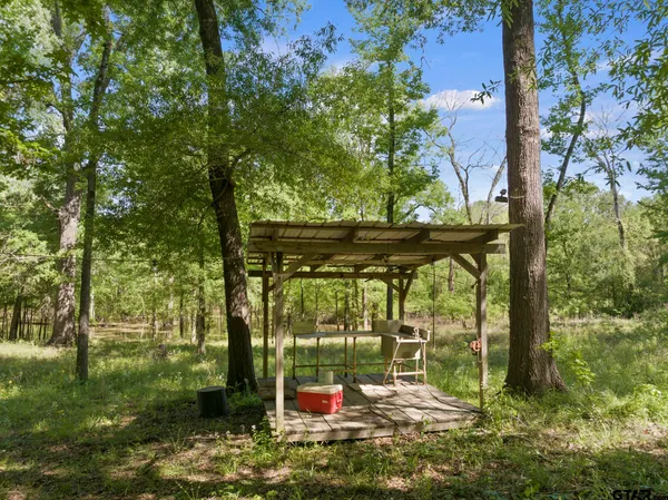 a small garden covered with tall trees
