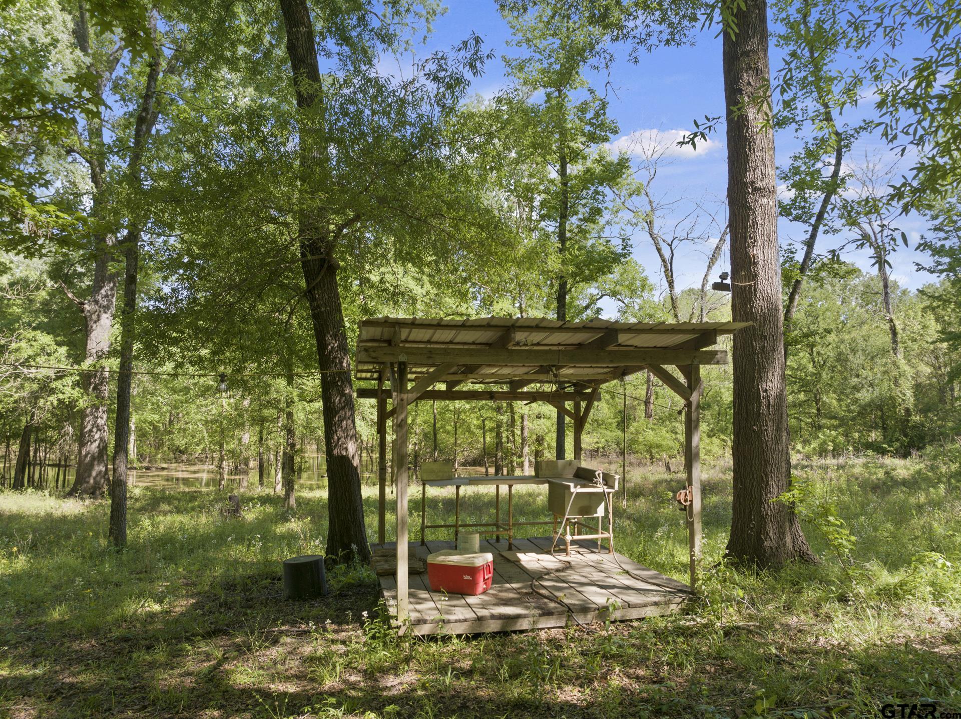 307 Fish Trap Lane Naples, TX 75568 - Photo 12 of 41 a small garden covered with tall trees