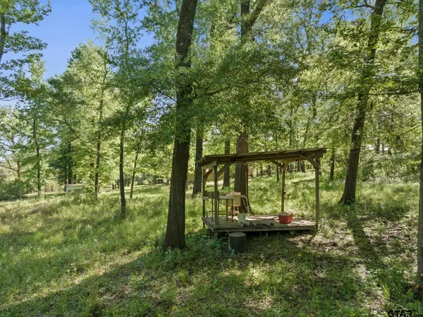 a fire hydrant in the middle of a forest