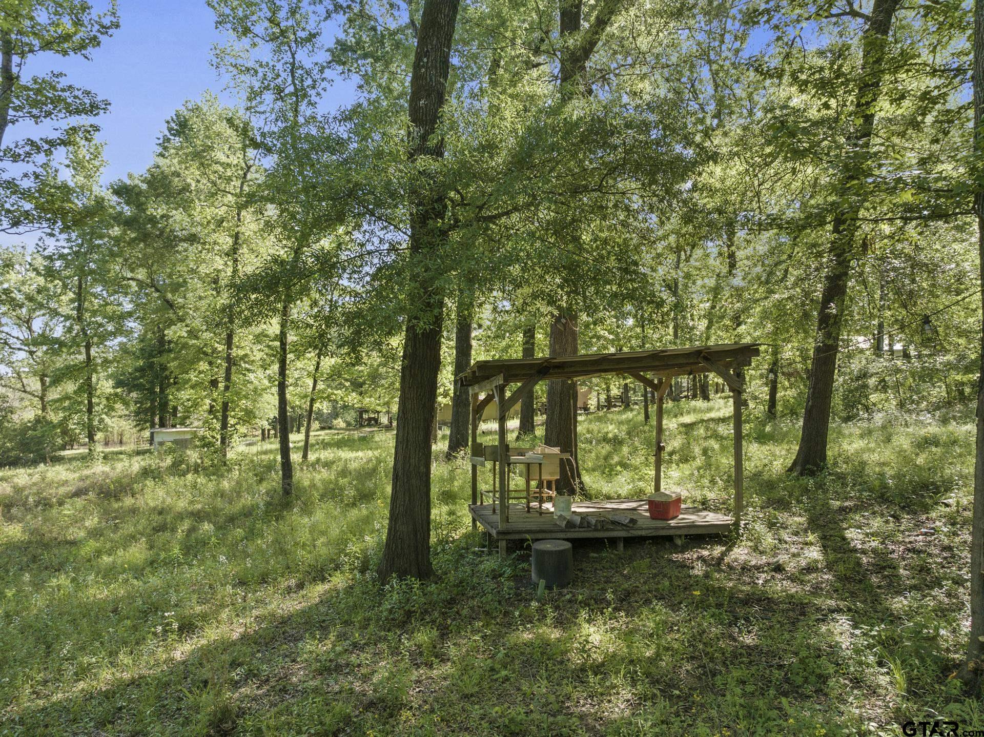307 Fish Trap Lane Naples, TX 75568 - Photo 13 of 41 a fire hydrant in the middle of a forest