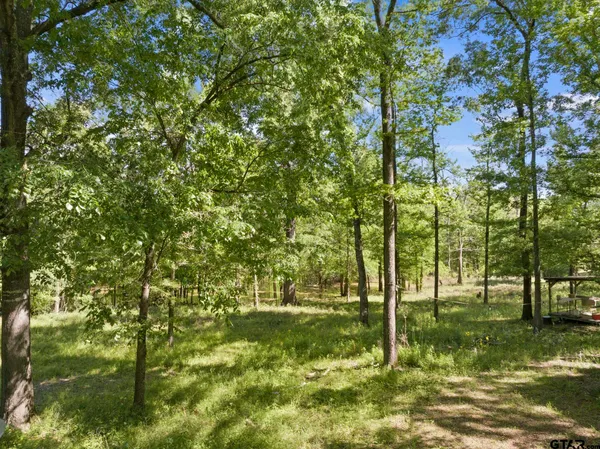 a view of outdoor space