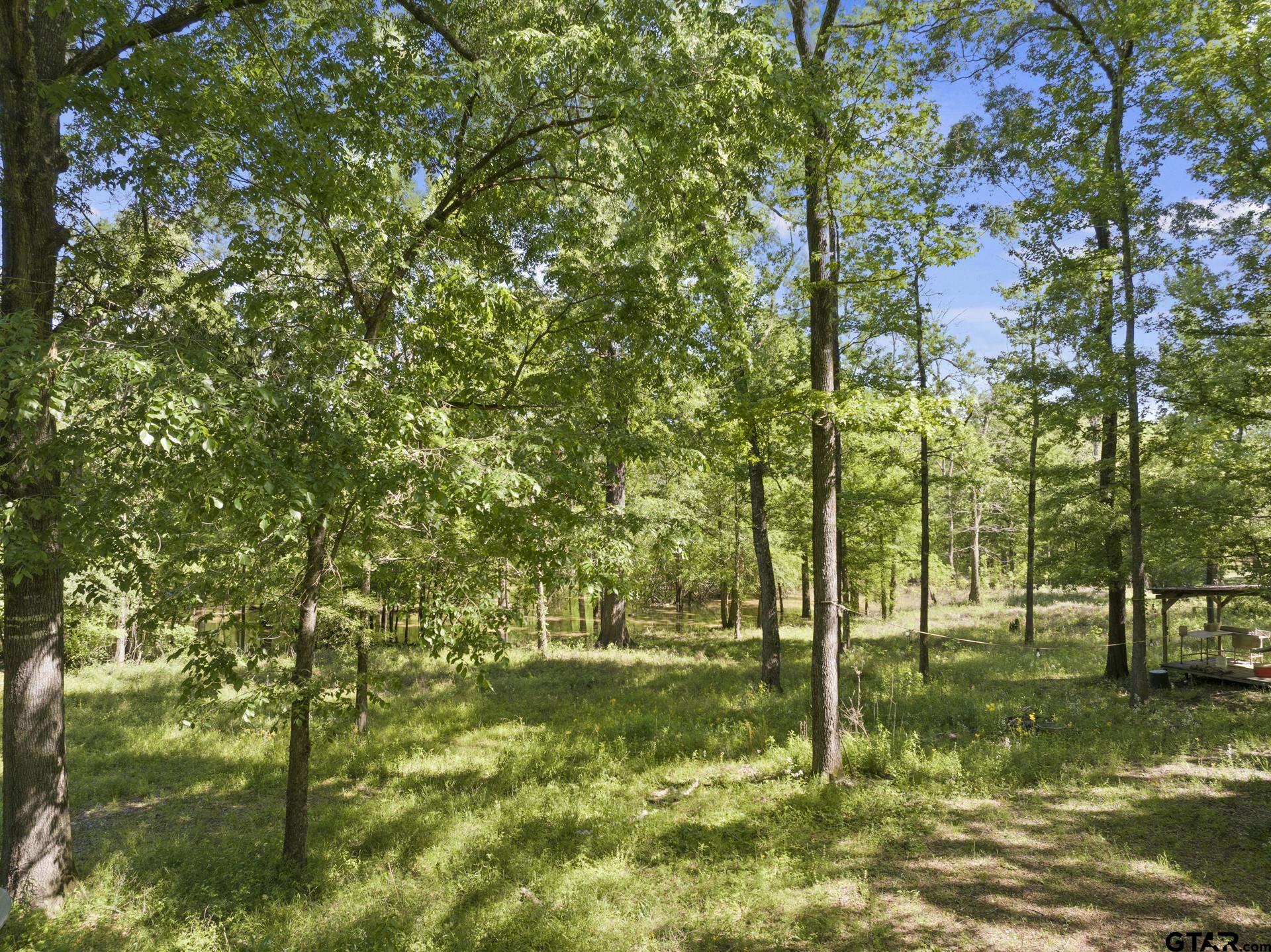 307 Fish Trap Lane Naples, TX 75568 - Photo 14 of 41