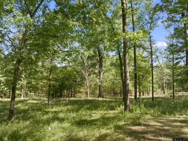 a view of a yard with plants and trees