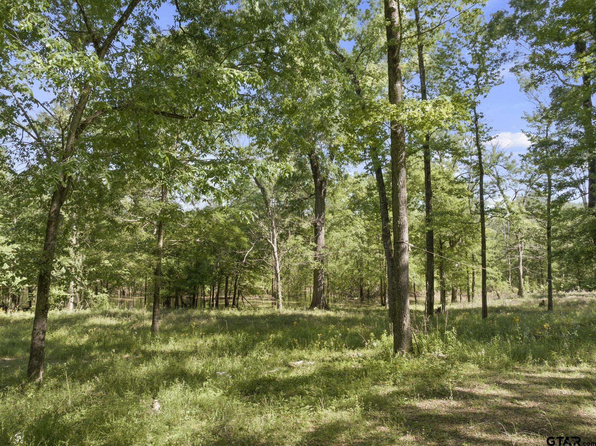 307 Fish Trap Lane Naples, TX 75568 - Photo 15 of 41 a view of outdoor space