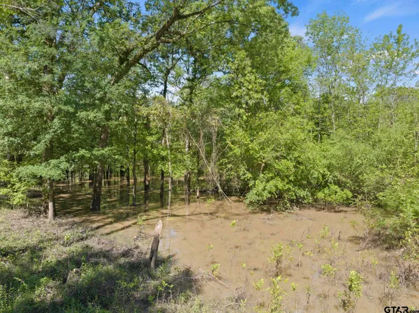 a view of outdoor space and trees