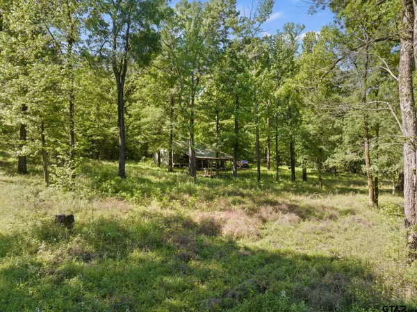 a view of outdoor space and trees