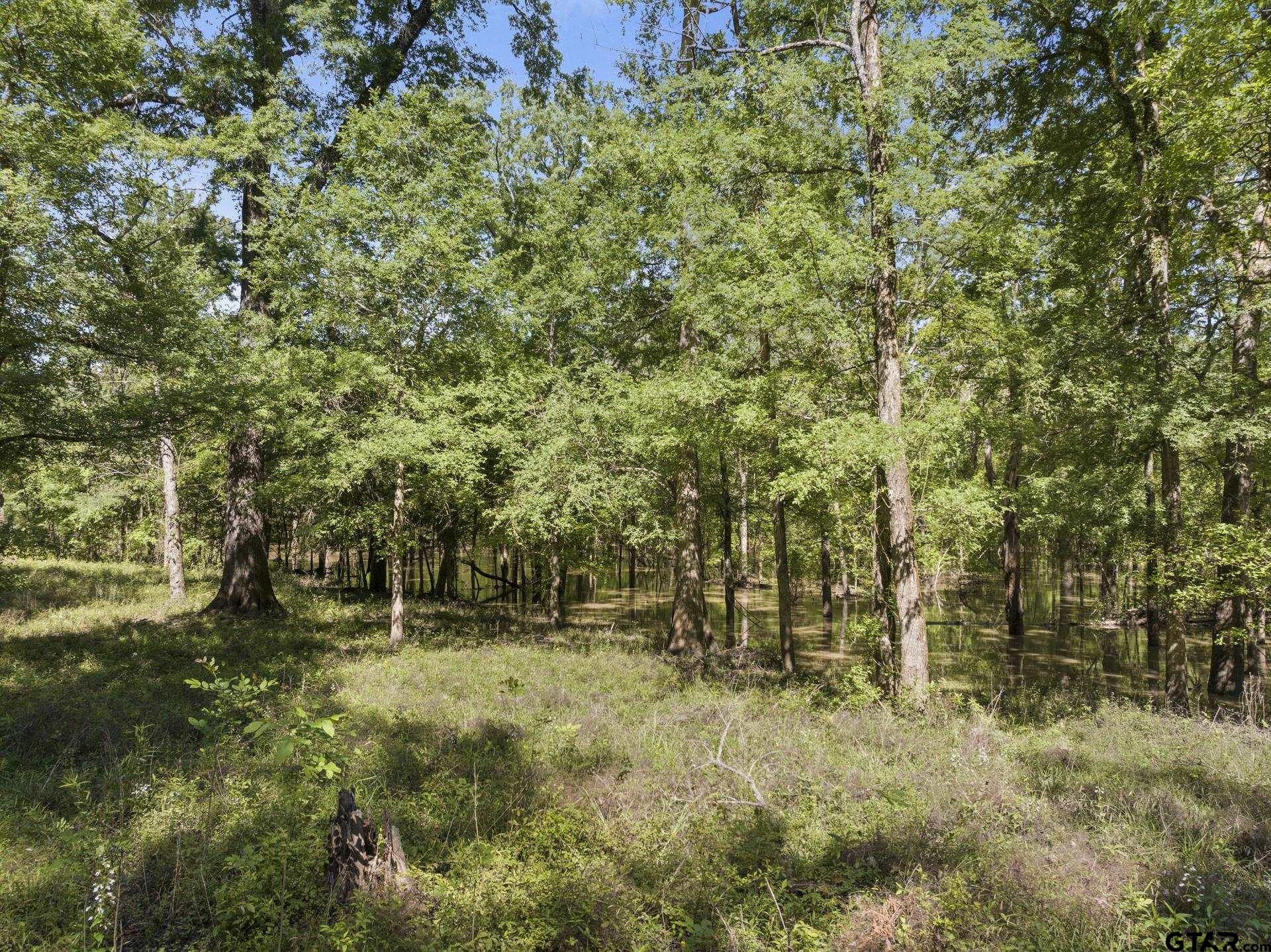 307 Fish Trap Lane Naples, TX 75568 - Photo 18 of 41 a view of outdoor space and trees