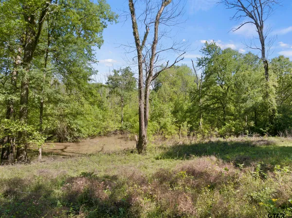 a view of a bunch of trees
