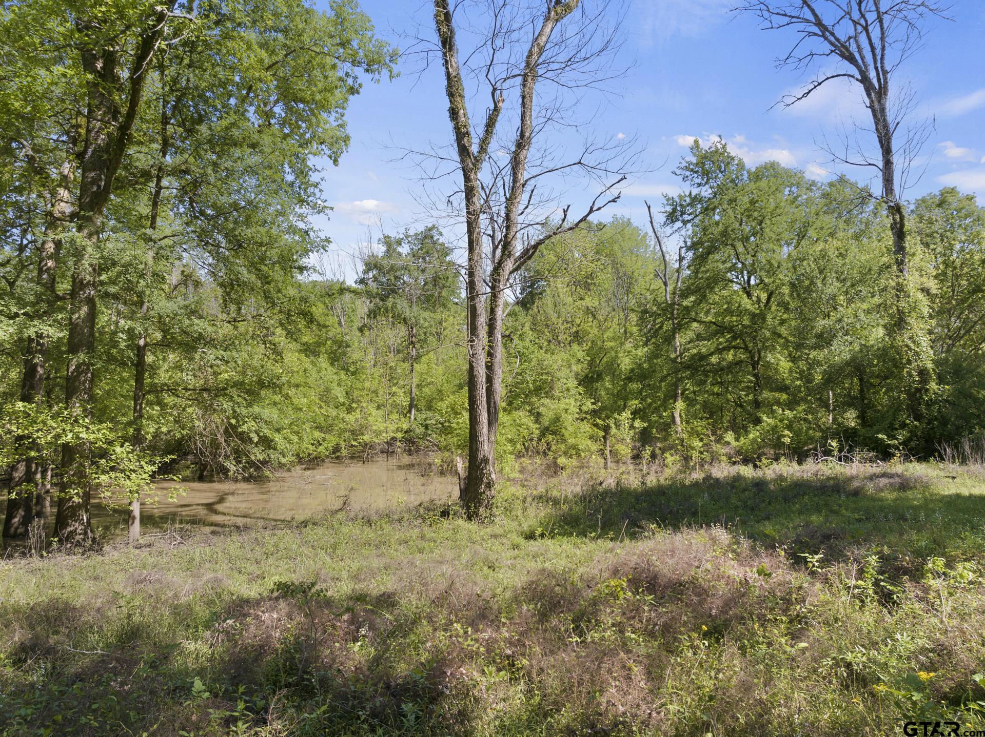 307 Fish Trap Lane Naples, TX 75568 - Photo 19 of 41 a view of outdoor space and yard