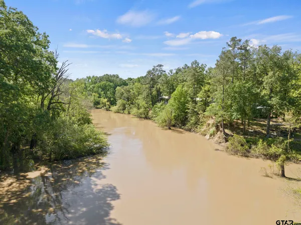 a view of a lush green forest with trees and houses