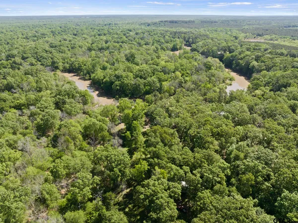 a view of a lush green forest with a lake and trees
