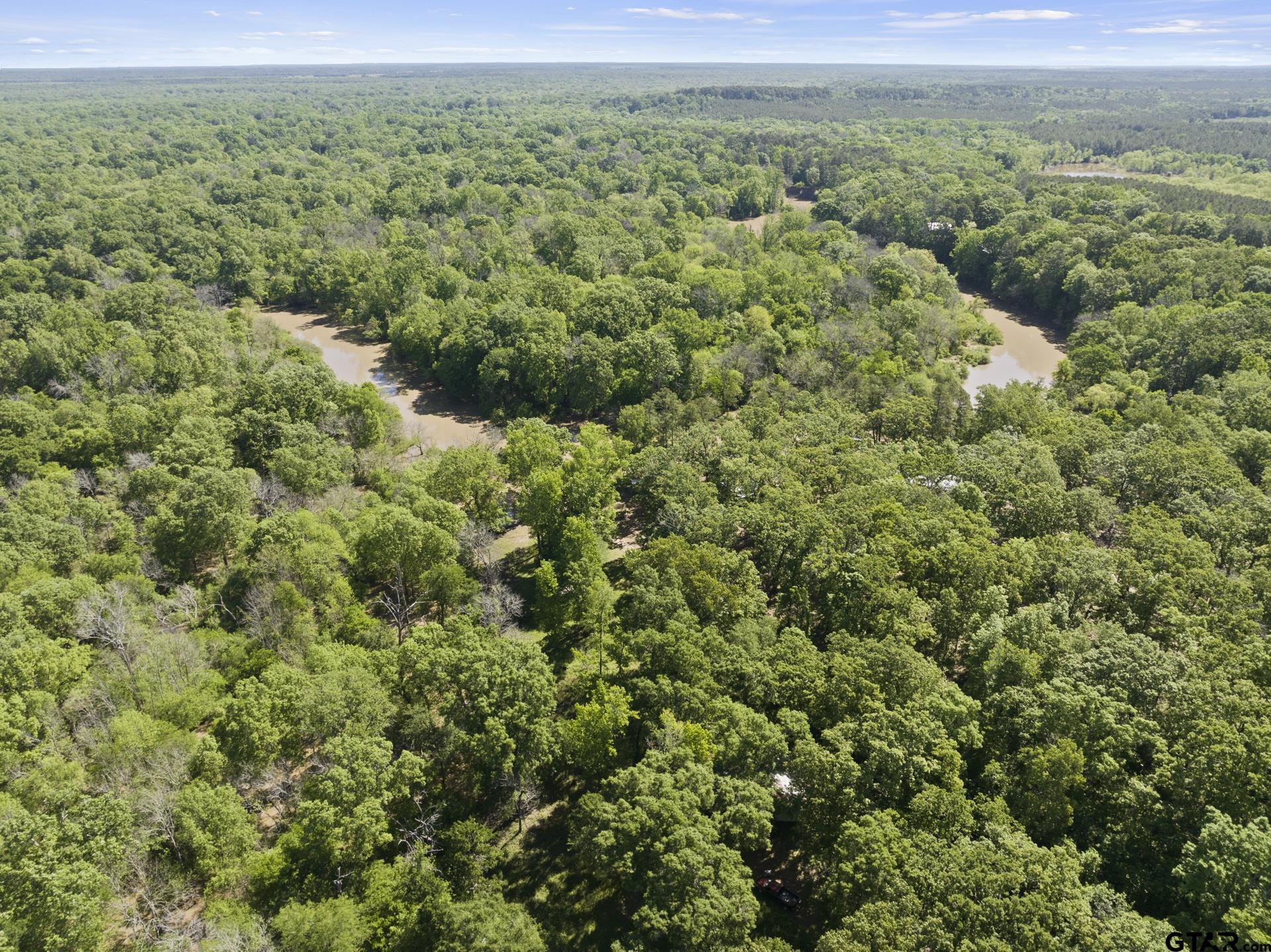 307 Fish Trap Lane Naples, TX 75568 - Photo 24 of 41 a view of a lush green forest with trees and houses