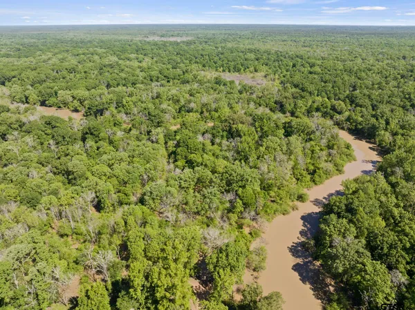 a view of a garden with a lake