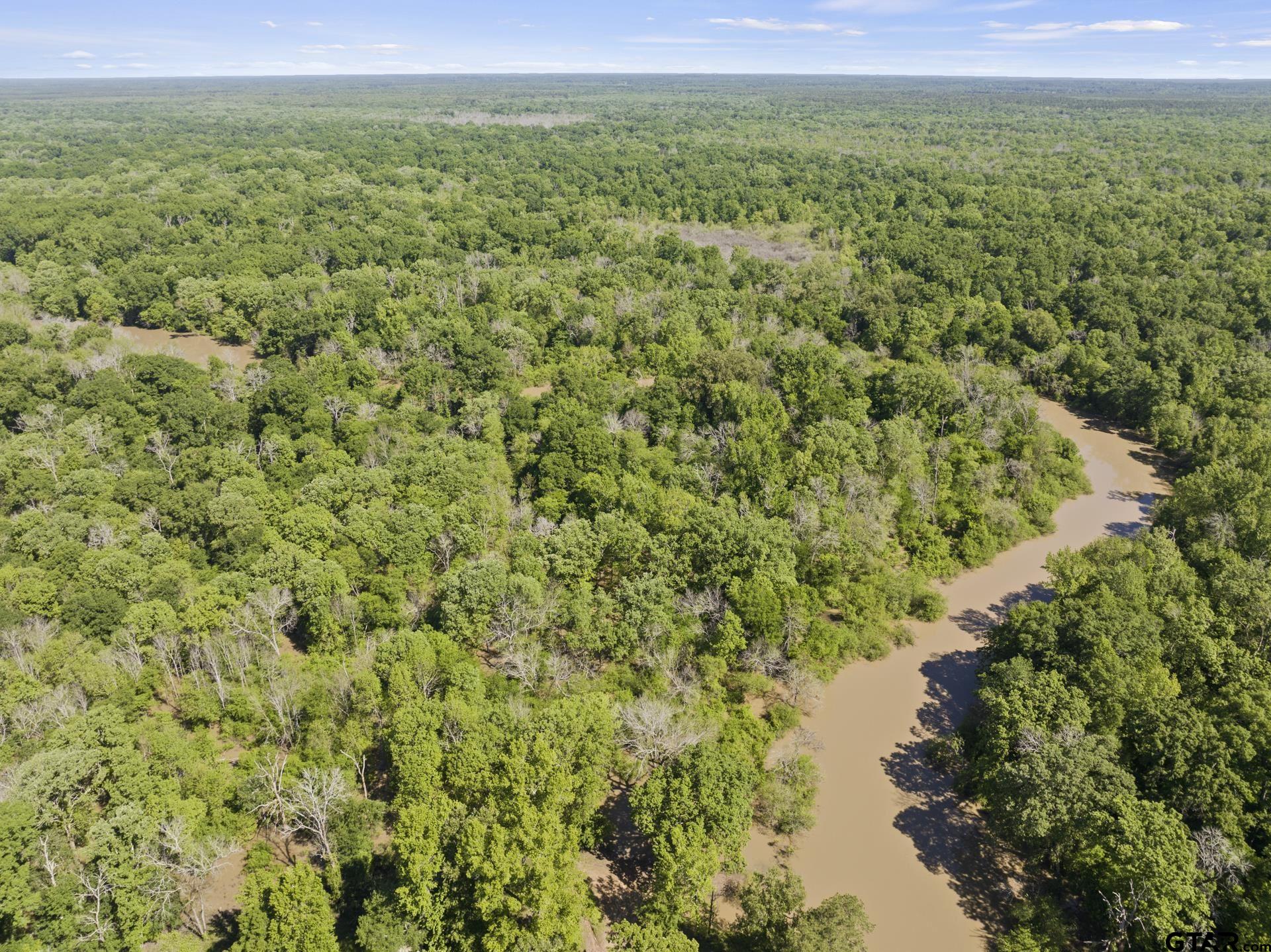 307 Fish Trap Lane Naples, TX 75568 - Photo 25 of 41 a view of a lush green forest with a lake and trees